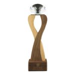 Wooden Trophy with Diamond shape Crystal on Top - Image 2
